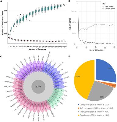 Comparative genomics of 40 Weissella paramesenteroides strains